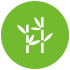 bamboo garden